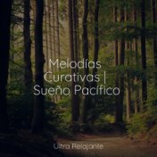 Melodías Curativas | Sueño Pacífico