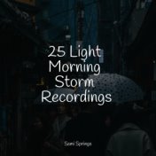 25 Light Morning Storm Recordings