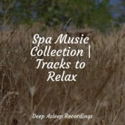 Spa Music Collection | Tracks to Relax