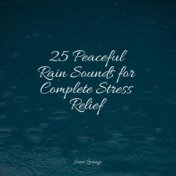 25 Peaceful Rain Sounds for Complete Stress Relief