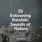 25 Enlivening Rainfall: Sounds of Nature