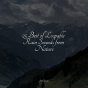 25 Best of Loopable Rain Sounds from Nature
