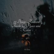 25 Brain Ambient Tracks for Peace and Calm