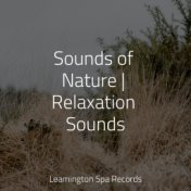 Sounds of Nature | Relaxation Sounds