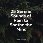 25 Serene Sounds of Rain to Soothe the Mind