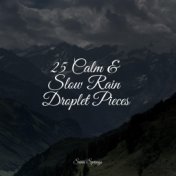 25 Calm & Slow Rain Droplet Pieces