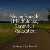 Sleepy Sounds | Mindfulness, Serenity & Relaxation