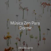 Música Zen Para Dormir