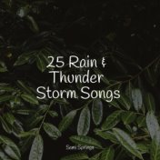 25 Rain & Thunder Storm Songs