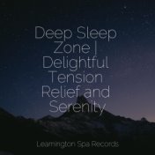 Deep Sleep Zone | Delightful Tension Relief and Serenity