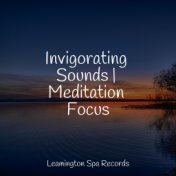 Invigorating Sounds | Meditation Focus