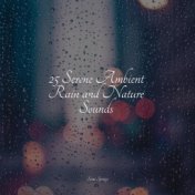 25 Serene Ambient Rain and Nature Sounds