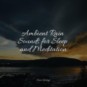 Ambient Rain Sounds for Sleep and Meditation