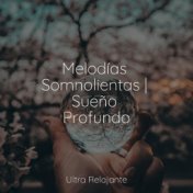 Melodías Somnolientas | Sueño Profundo