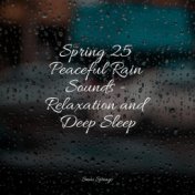 Spring 25 Peaceful Rain Sounds - Relaxation and Deep Sleep