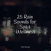 25 Rain Sounds for Spa & Wellness