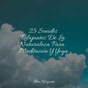 25 Sonidos Relajantes De La Naturaleza Para Meditación Y Yoga