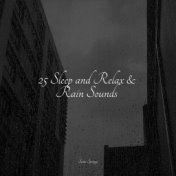 25 Sleep and Relax & Rain Sounds