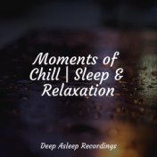 Moments of Chill | Sleep & Relaxation