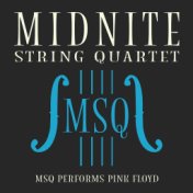 MSQ Performs Pink Floyd