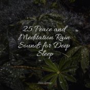 25 Peace and Meditation Rain Sounds for Deep Sleep