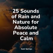 25 Sounds of Rain and Nature for Absolute Peace and Calm