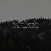 25 Rain Sounds for Peace and Serenity
