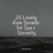 25 Lovely Rain Sounds for Spa & Serenity