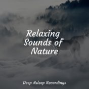 Relaxing Sounds of Nature