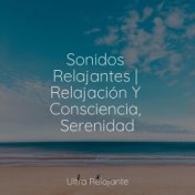 Sonidos Relajantes | Relajación Y Consciencia, Serenidad