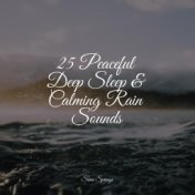 25 Peaceful Deep Sleep & Calming Rain Sounds