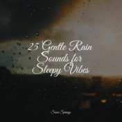 25 Gentle Rain Sounds for Sleepy Vibes