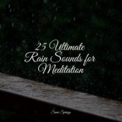 25 Ultimate Rain Sounds for Meditation