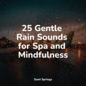 25 Gentle Rain Sounds for Spa and Mindfulness