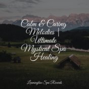 Calm & Caring Melodies | Ultimate Mystical Spa Healing