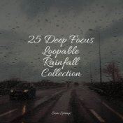 25 Deep Focus Loopable Rainfall Collection