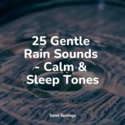 25 Gentle Rain Sounds - Calm & Sleep Tones