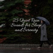 25 Quiet Rain Sounds for Sleep and Serenity
