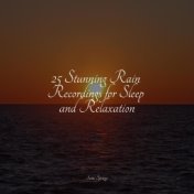 25 Stunning Rain Recordings for Sleep and Relaxation