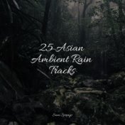 25 Asian Ambient Rain Tracks