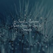 25 Sweet Autumn Rain Songs for Spa & Serenity