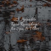 25 Loopable Rain Recordings for Spa & Vibes