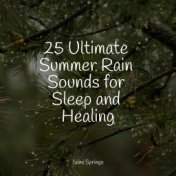25 Ultimate Summer Rain Sounds for Sleep and Healing
