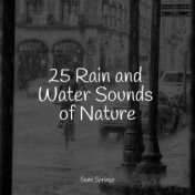 25 Rain and Water Sounds of Nature