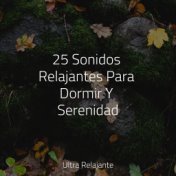 25 Sonidos Relajantes Para Dormir Y Serenidad