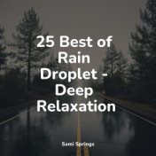 25 Best of Rain Droplet - Deep Relaxation