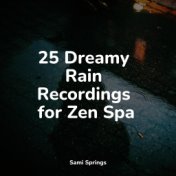 25 Dreamy Rain Recordings for Zen Spa