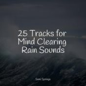 25 Tracks for Mind Clearing Rain Sounds