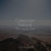 Colección Natural Relajación