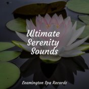 Ultimate Serenity Sounds